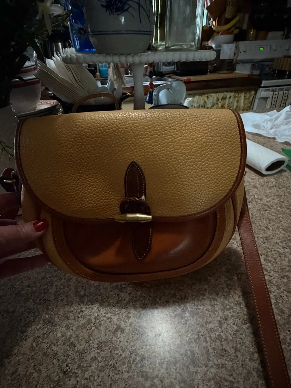 Dooney and BurkeTan and Brown Leather-Trim Saddle Bag